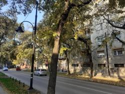 Somborski sokaci u mraku, čeka se rekonstrukcija javne rasvete