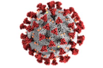 Srbijom hara OVAJ virus, zaražene cele porodice