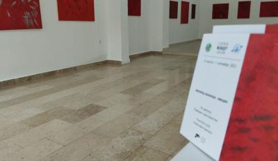 Postavka Apatinca Milorada Blanuše u galeriji Meander do 7. septembra